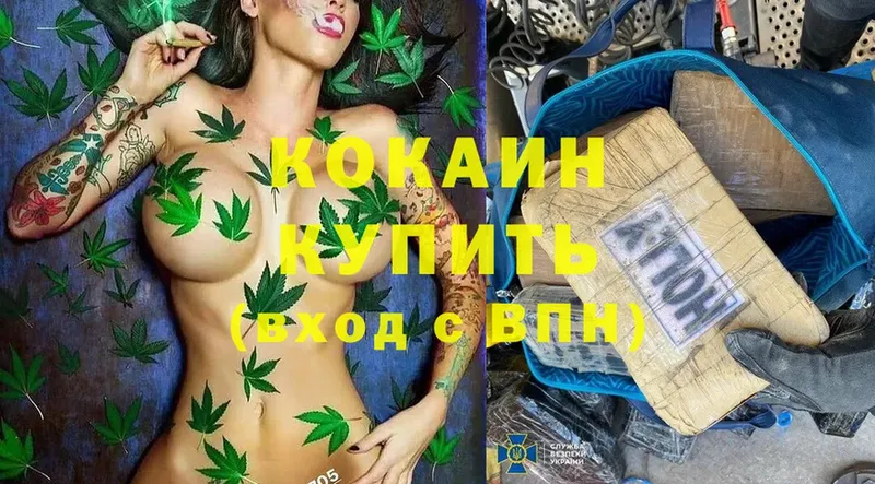 купить наркотик  Заводоуковск  Cocaine VHQ 